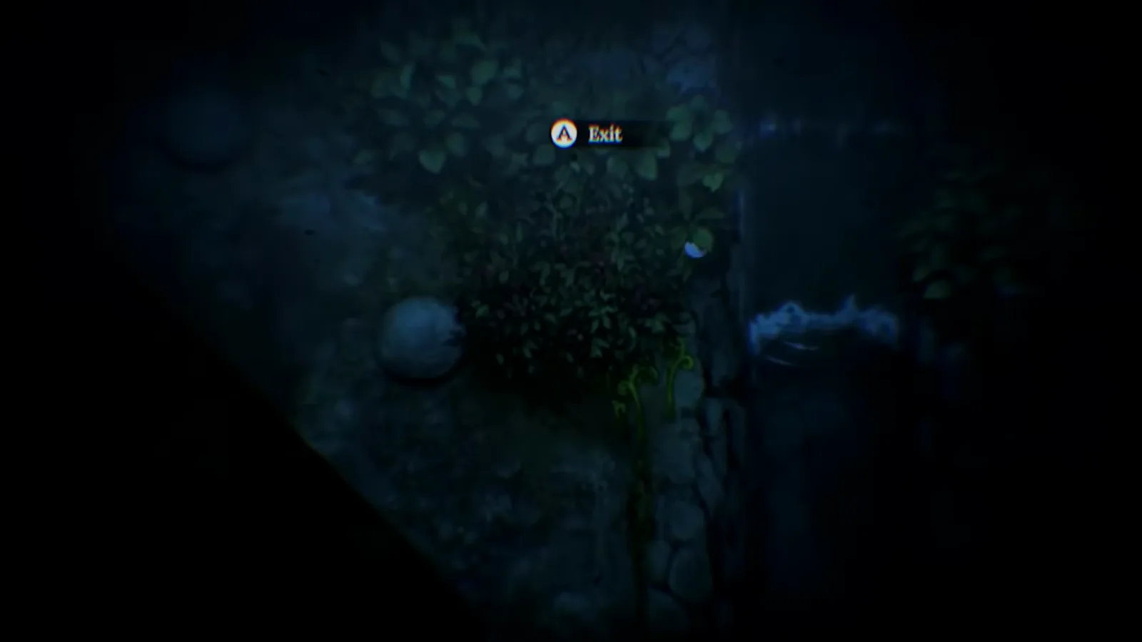 Village in the Shade claustrophobic night bushes showing an Exit prompt inside a tight circular spotlight with almost no visibility beyond.